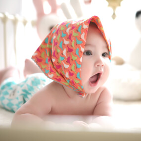 Home Colorful Birdies on Orange Bandana